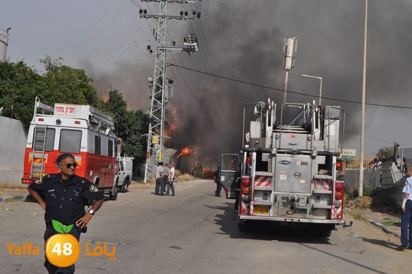 fireludkartoonmasna34 (47).JPG